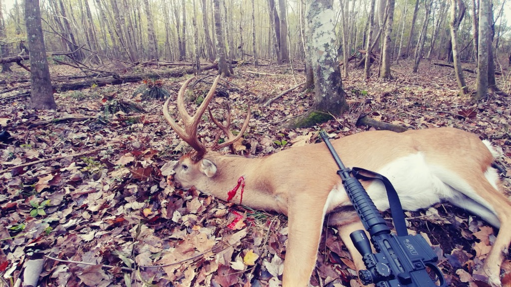 The Kitchings Place Photo