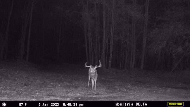 The Kitchings Place Photo