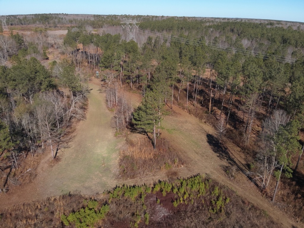 The Kitchings Place Photo