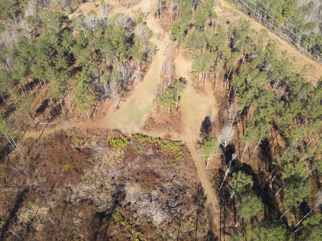 The Kitchings Place Photo