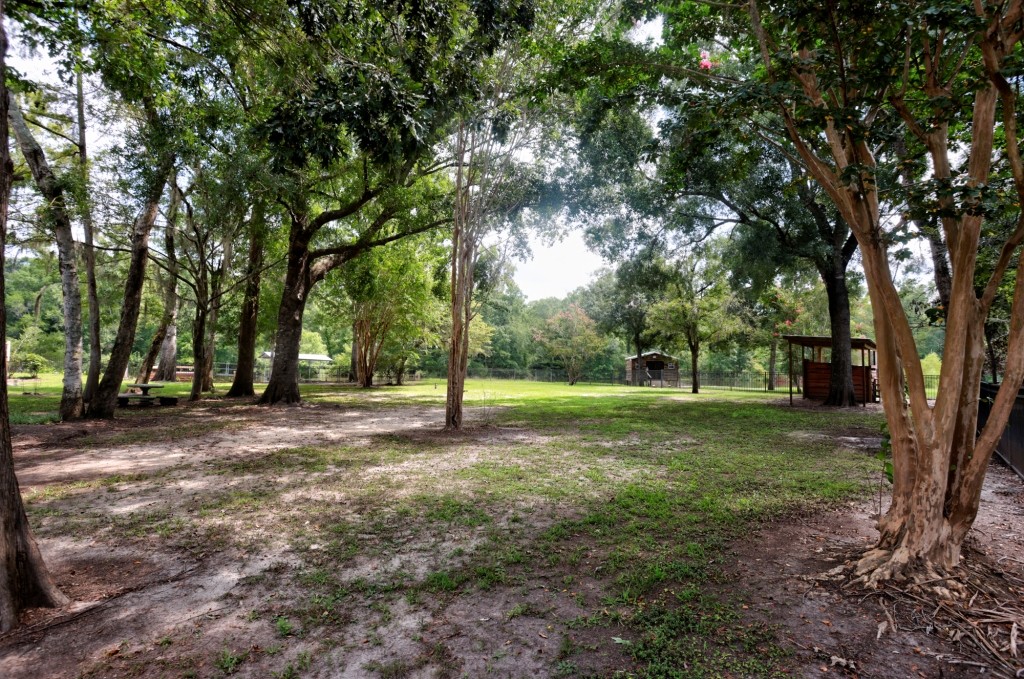 Ogeechee River Lodge Photo