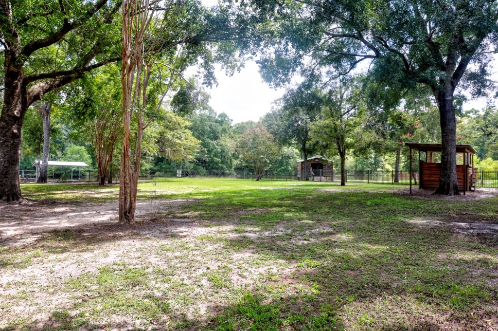 Ogeechee River Lodge Photo