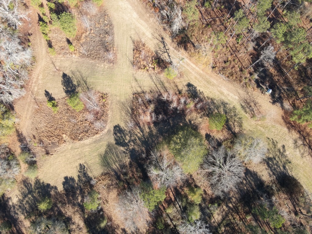 The Kitchings Place Photo