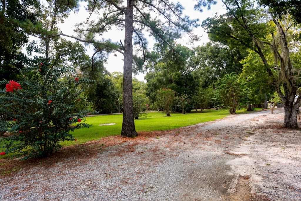 Ogeechee River Lodge Photo