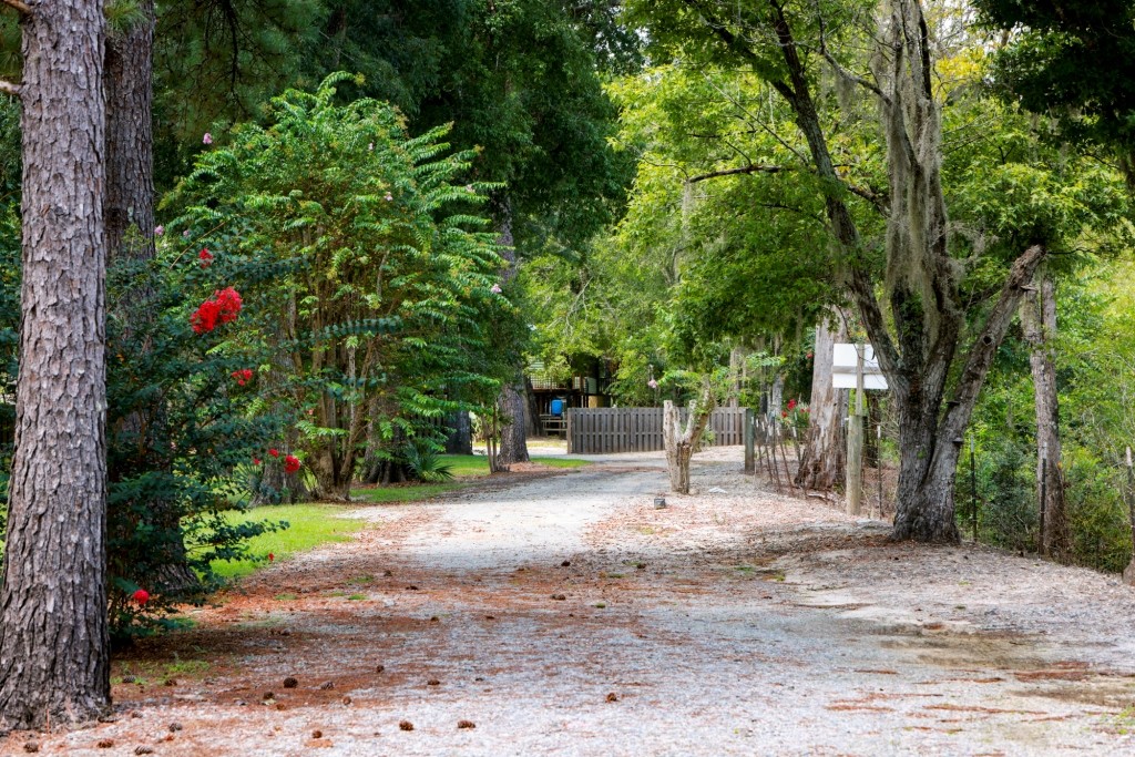 Ogeechee River Lodge Photo
