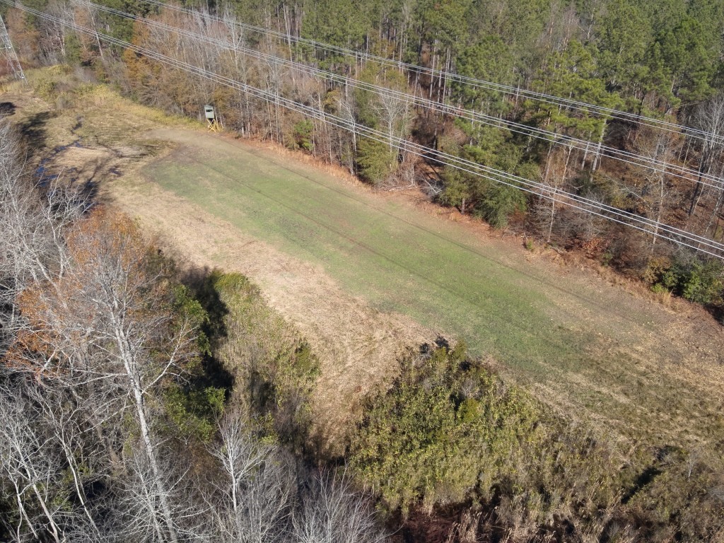 The Kitchings Place Photo