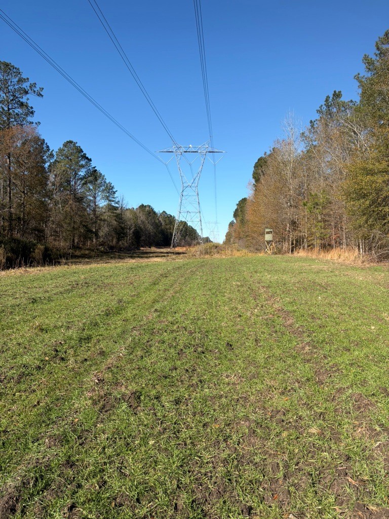 The Kitchings Place Photo