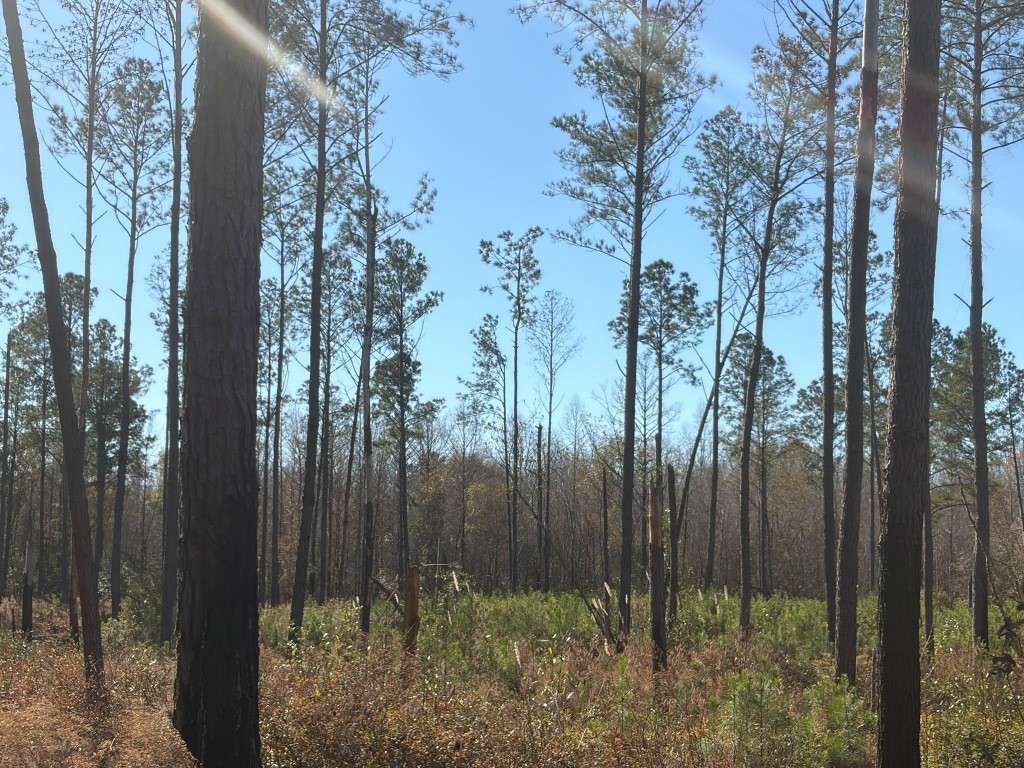 The Kitchings Place Photo