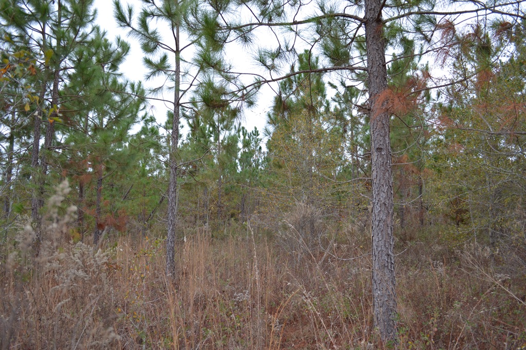 Bullock Retreat Photo