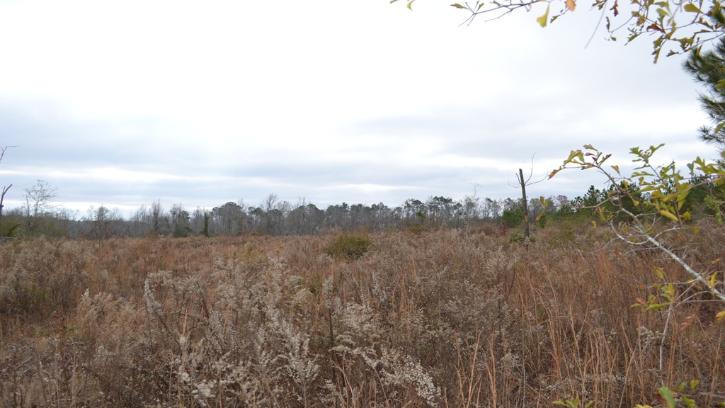 Bullock Retreat Photo