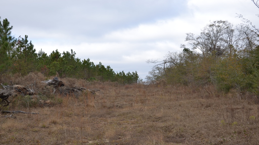 Bullock Retreat Photo