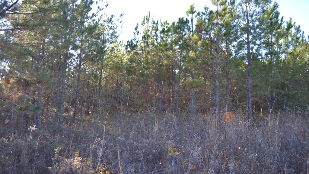 Bullock Retreat Photo