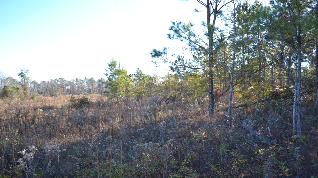 Bullock Retreat Photo