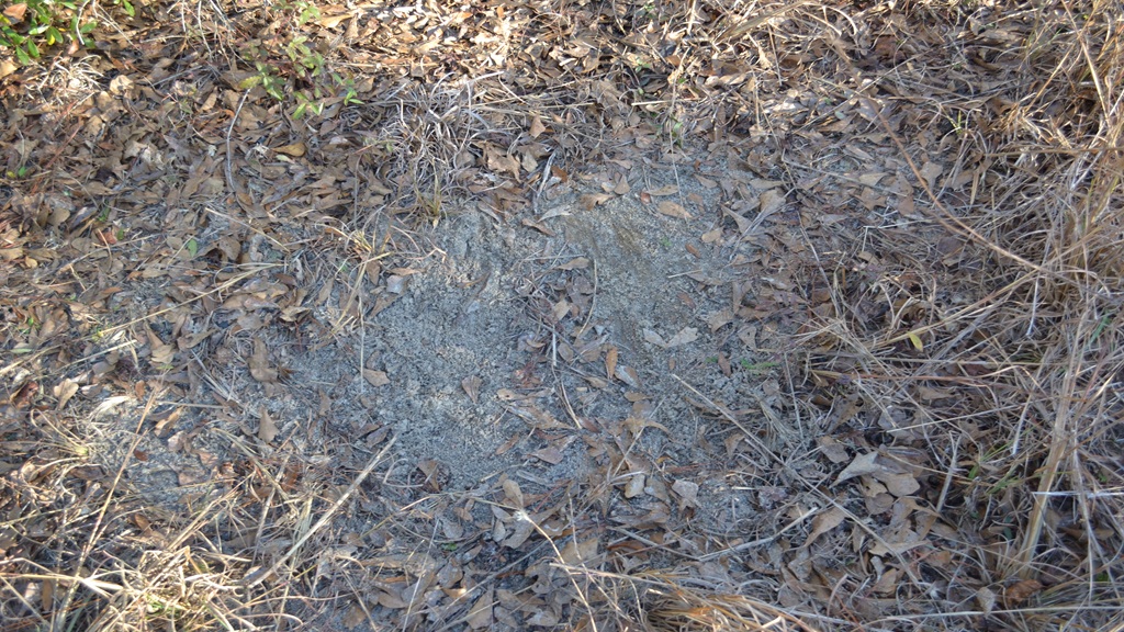 Bullock Retreat Photo