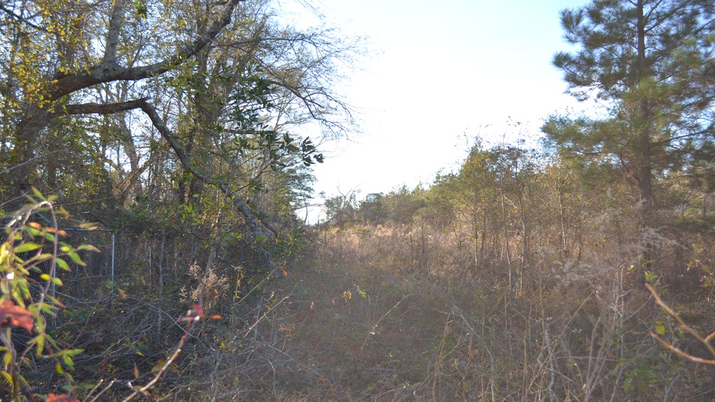 Bullock Retreat Photo