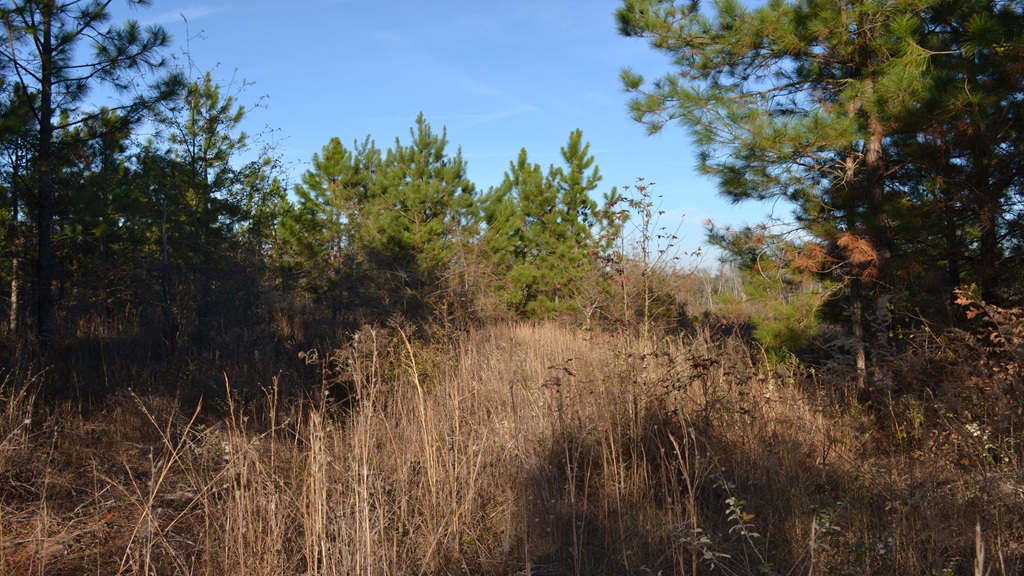 Bullock Retreat Photo