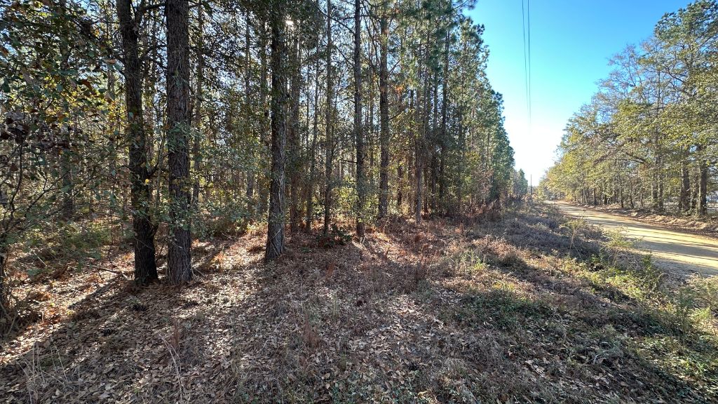 Halcyondale Loop Photo