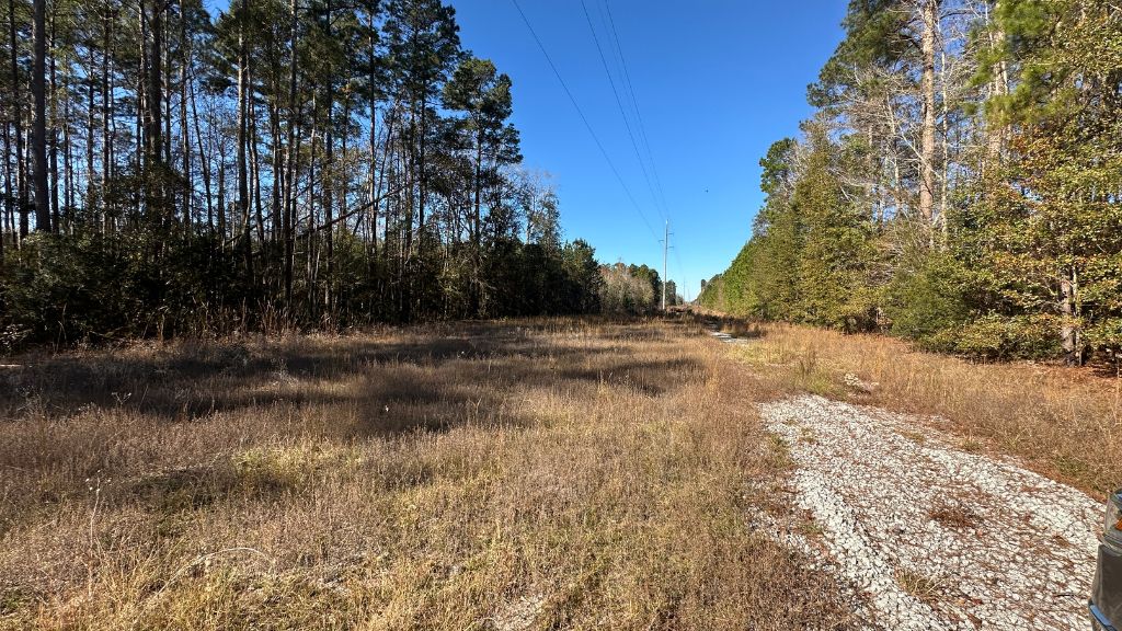 Halcyondale Loop Photo