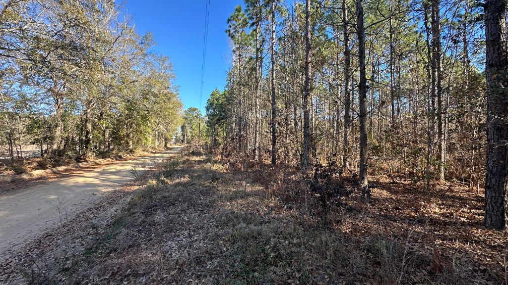 Halcyondale Loop Photo