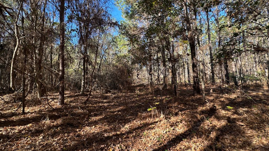 Halcyondale Loop Photo