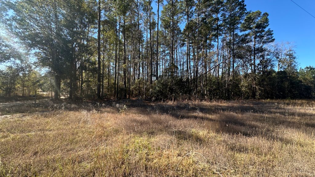 Halcyondale Loop Photo