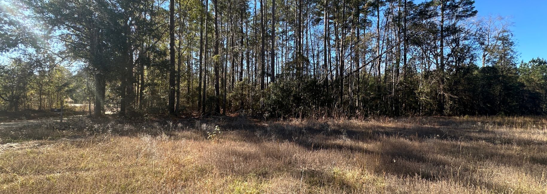 Halcyondale Loop Main Photo