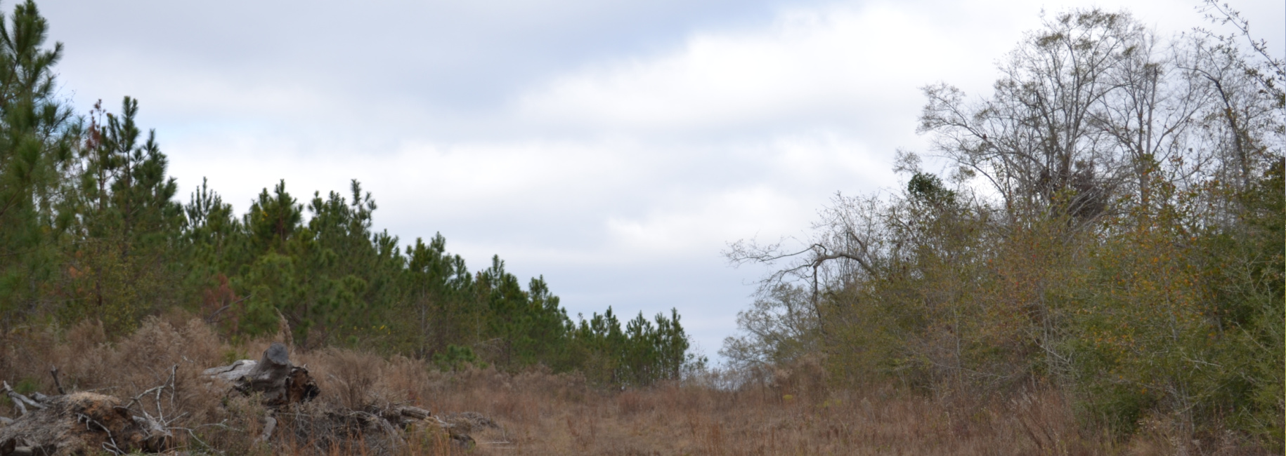 Bullock Retreat Main Photo