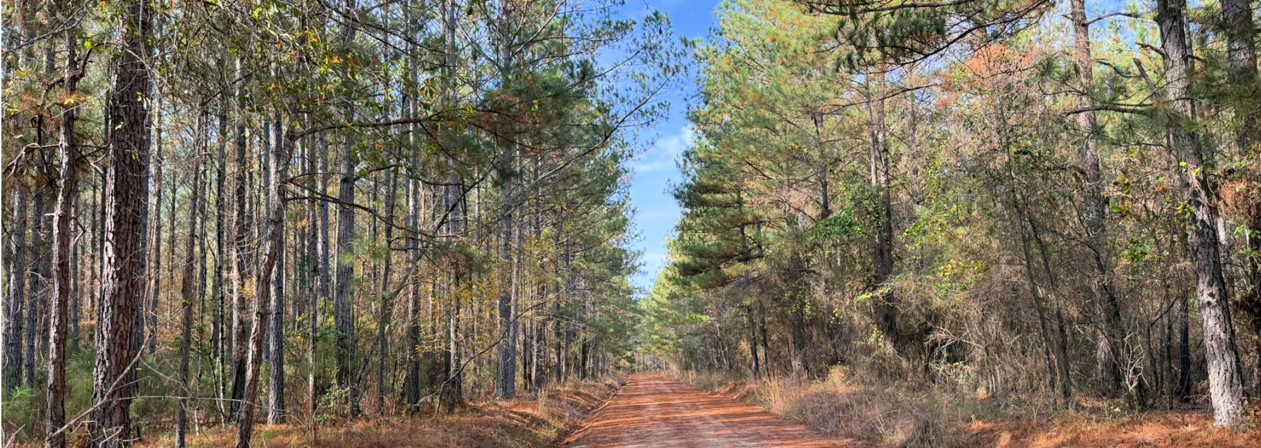 Youngblood Road Main Photo