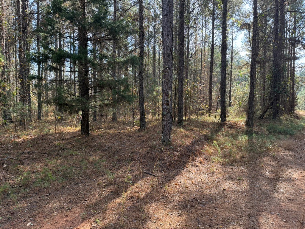 Youngblood Road Photo