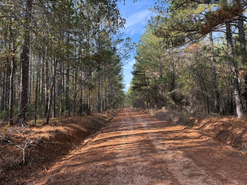 Youngblood Road Photo