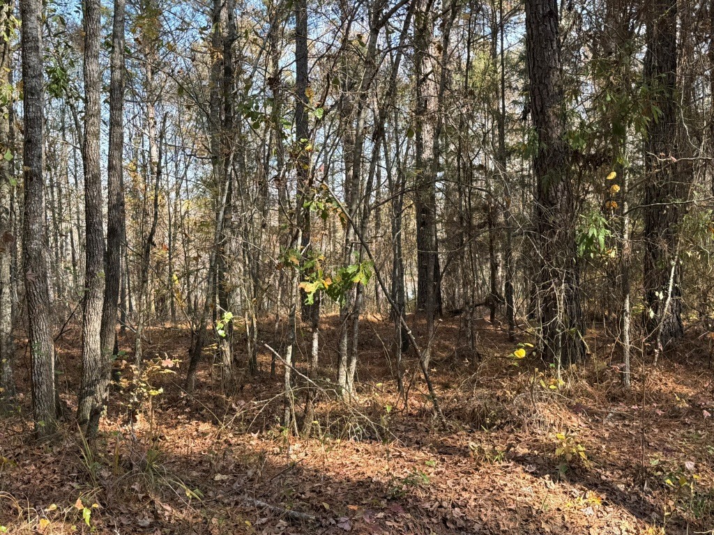 Youngblood Road Photo