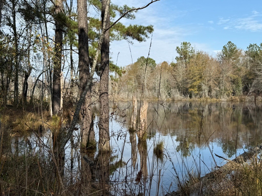 Youngblood Road Photo