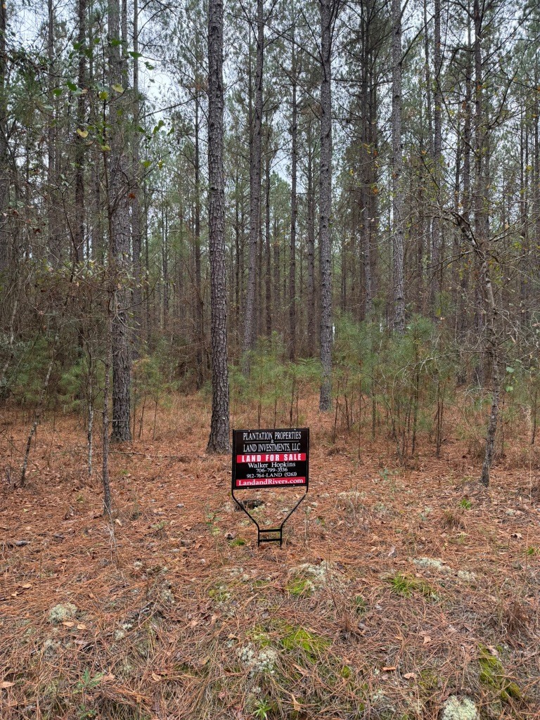 Youngblood Road Photo