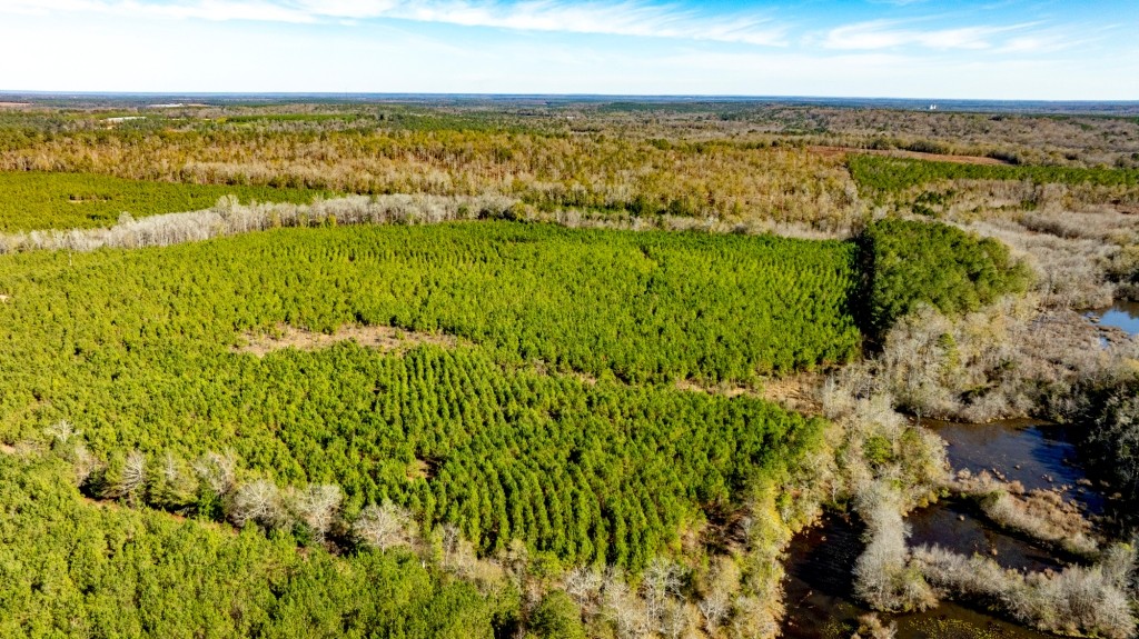 Camp Branch Tract Photo