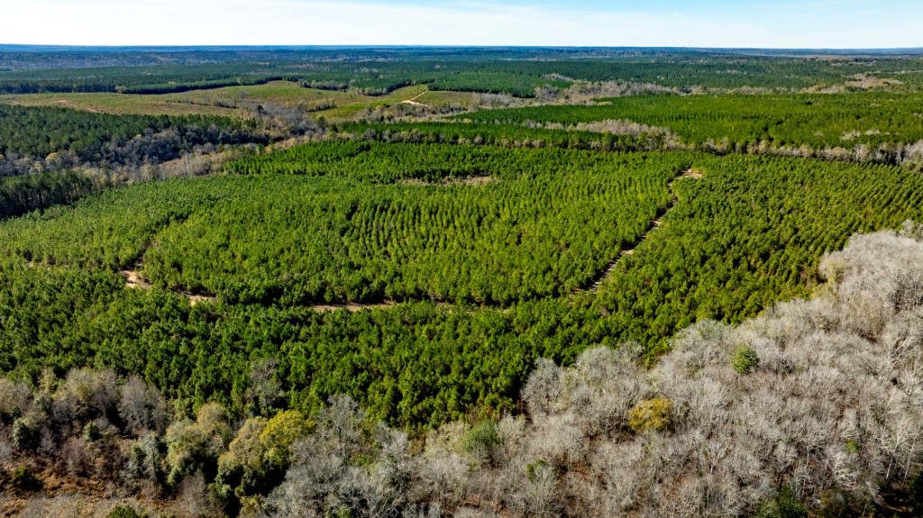 Camp Branch Tract Photo