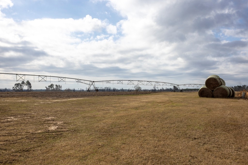George Hill Road Farm Photo