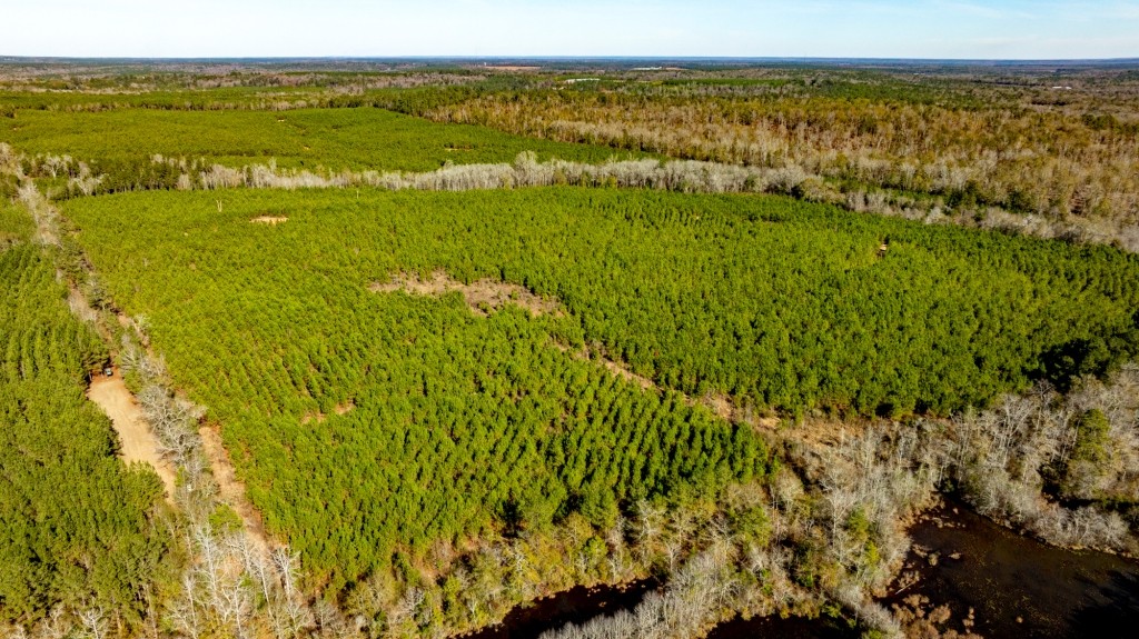 Camp Branch Tract Photo