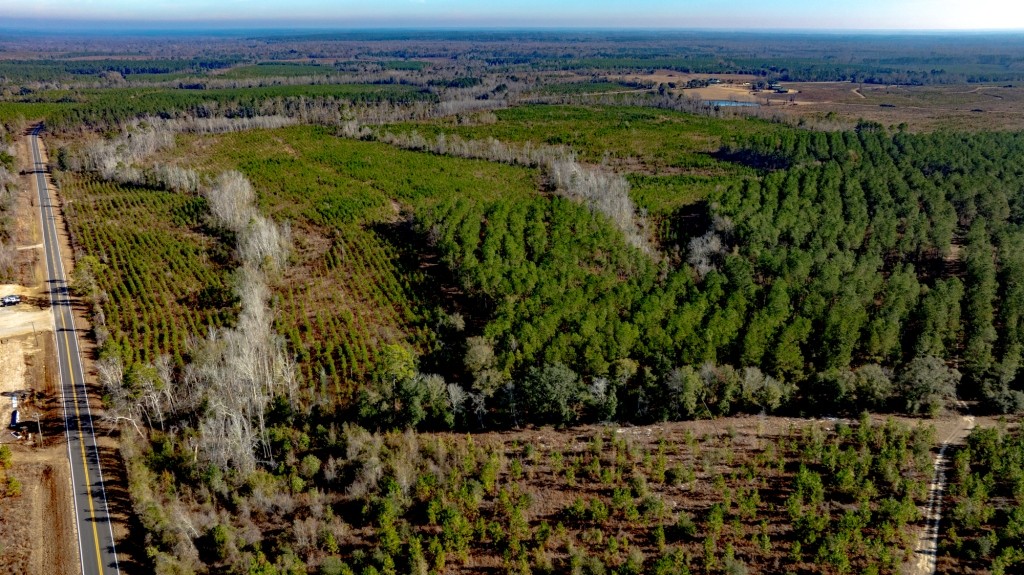 Buck Creek Timber Photo