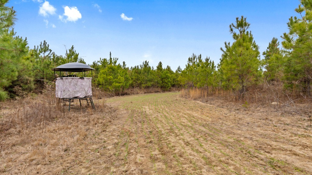 Camp Branch Tract Photo