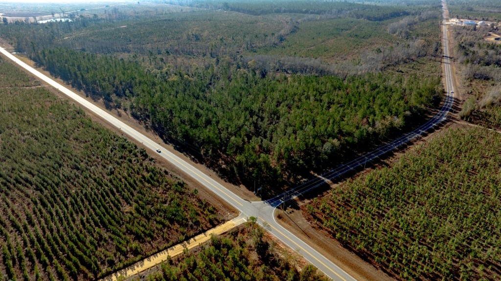 Buck Creek Timber Photo