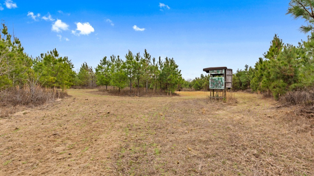 Camp Branch Tract Photo