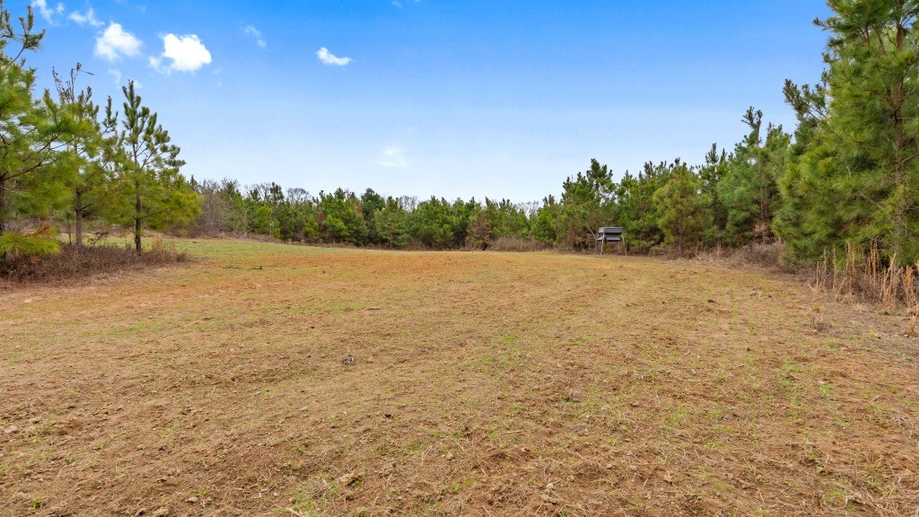 Camp Branch Tract Photo