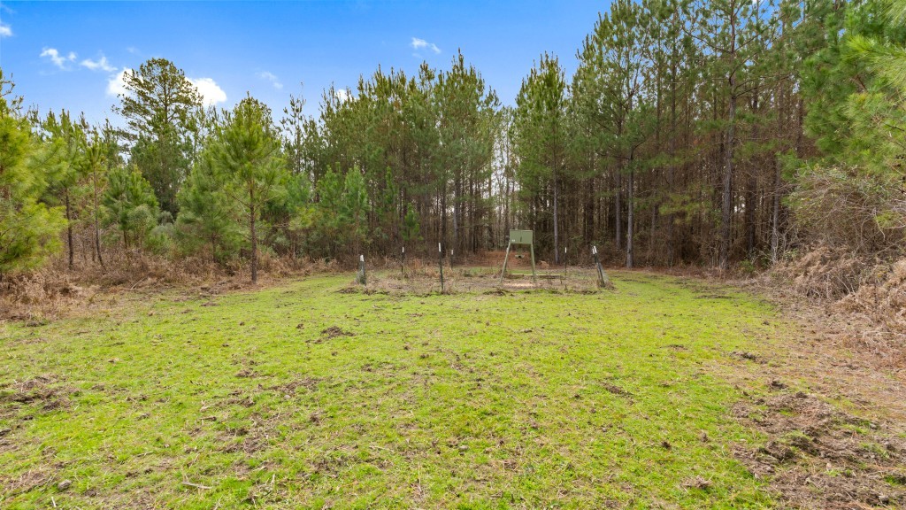 Payne Bottom Timberland Photo