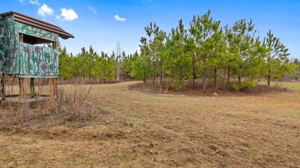 Camp Branch Tract Photo