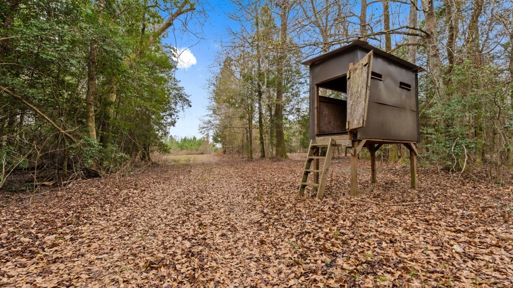 Camp Branch Tract Photo