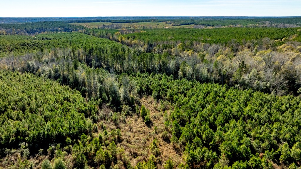 Camp Branch Tract Photo