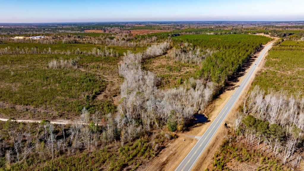 Buck Creek Timber Photo
