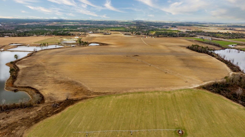 George Hill Road Farm Photo