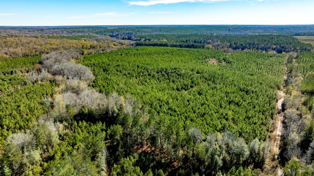 Camp Branch Tract Photo