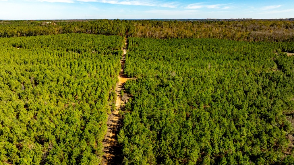 Camp Branch Tract Photo